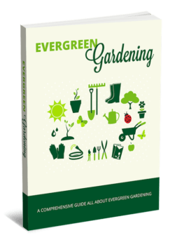 Evergreen Gardening PLR Bundle