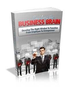 Building The Business Brain PLR Bundle
