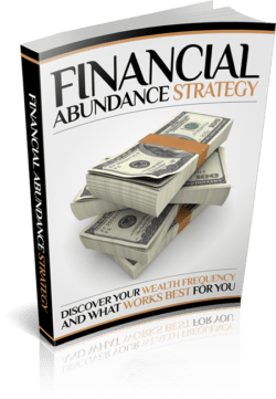 Financial Abundance Strategy PLR Bundle