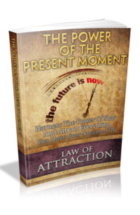 The Power Of The Present Moment PLR Bundle