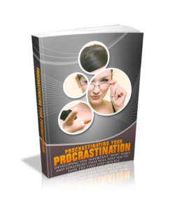 Procrastinating Your Procrastination PLR Bundle