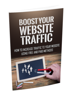 Boost Your Website Traffic PLR Bundle