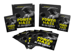 Power Mass Blueprint PLR Bundle