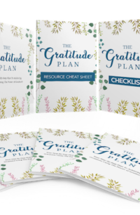 The Gratitude Plan PLR Bundle
